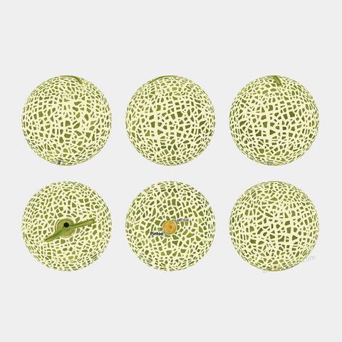 Pintoo A3427 Cantaloupe - Puzzle Keychain Jigsaw Puzzle