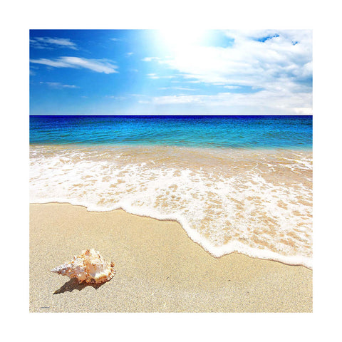 Pintoo U1136 PieceClicks - 756 Piece - Seashell on the Beach
