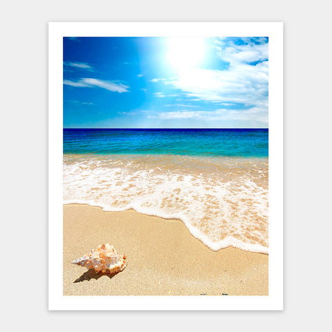 Pintoo H1335 Seashell on the Beach - 500 Piece Jigsaw Puzzle