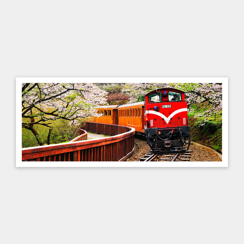 Showpiece 1000 Piece Panorama Puzzles