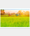 Pintoo H2648 Bicycle Trip Collection - Sun-kissed Green Fields - 1000 Piece Jigsaw Puzzle
