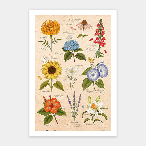 Pintoo H3894 Summer Flowers - 600 Piece Jigsaw Puzzle by Mandie