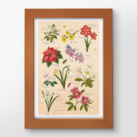 Pintoo H3896 Winter Flowers - 600 Piece Jigsaw Puzzle by Mandie