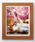Pintoo H3957 Shiba among Flowers - 500 Piece Jigsaw Puzzle by Lazy Spring
