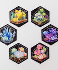 Pintoo HX1163 Succulent in Pocket - Wall Tile Puzzle Set Jigsaw Puzzle