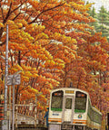 Pintoo U1145 PieceClicks - 504 Piece - Autumn Romance by Tadashi Matsumoto