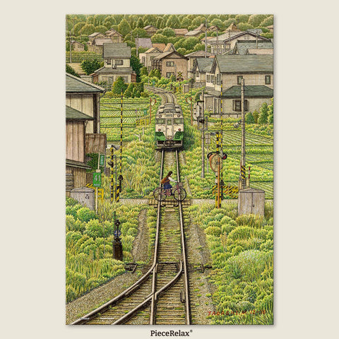 Pintoo U1146 PieceClicks - 504 Piece - Fading Shadow by Tadashi Matsumoto