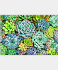 Succulent Wall - 368 Piece XS Jigsaw Puzzle