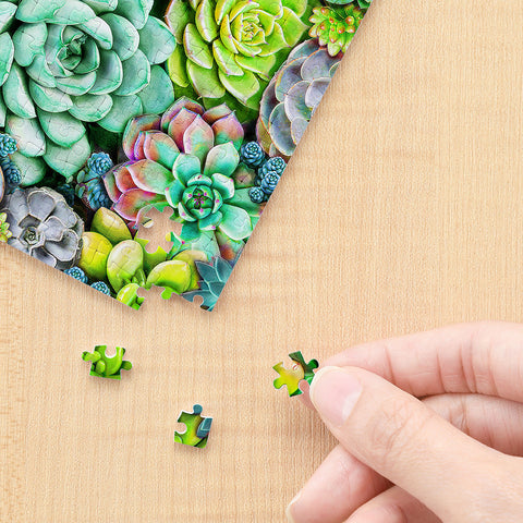 Succulent Wall - 368 Piece XS Jigsaw Puzzle
