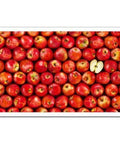 Fruits - Apple - 1000 Piece Jigsaw Puzzle