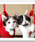 Kittens in Christmas socks - 300 Piece Jigsaw Puzzle